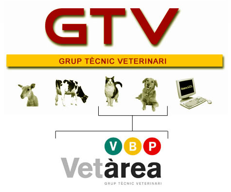 GTV 2007