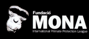Fundacio Mona